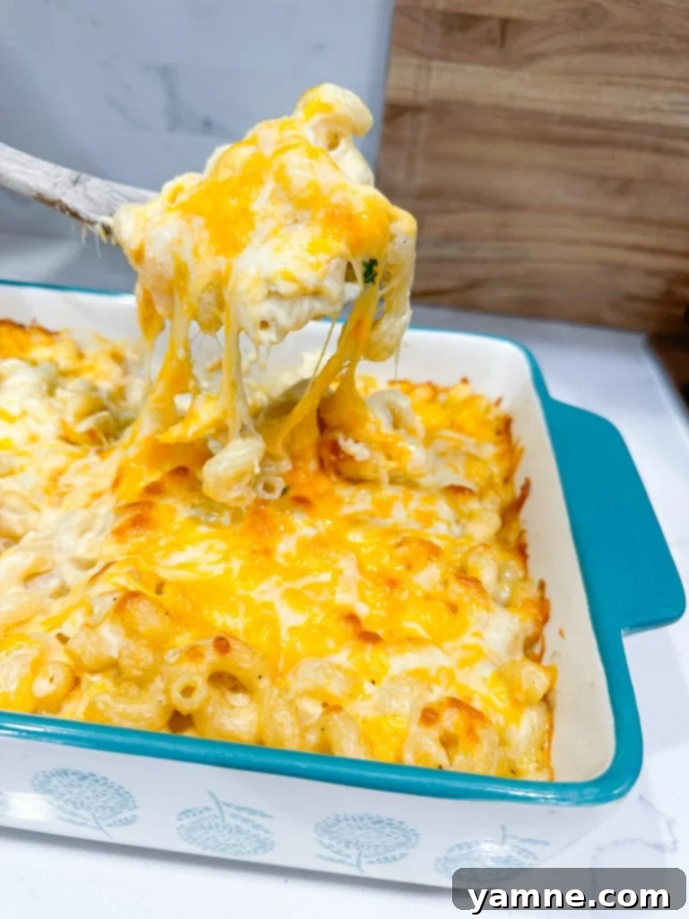 Golden Baked Macaroni Delight 9 easy baked mac and cheese