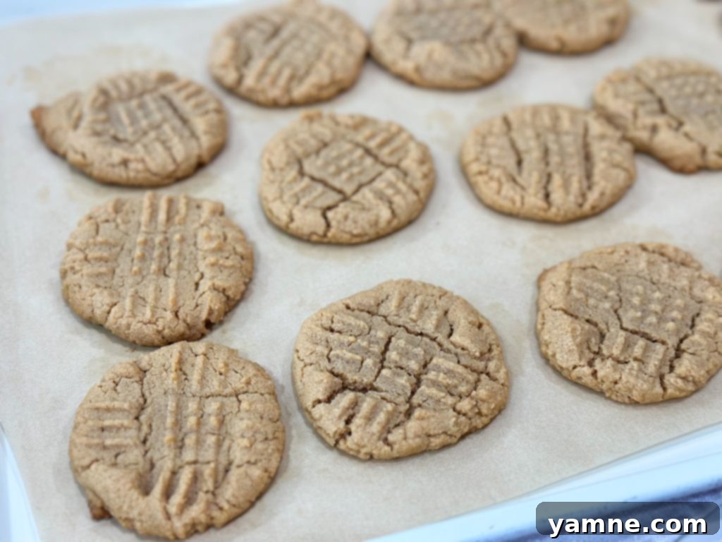 Effortless 3-Ingredient Dessert Delights 1 3-ingredient peanut butter cookies