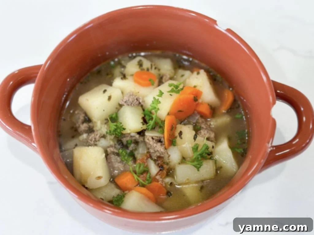 Simple potato and vegetable stew with ground turkey