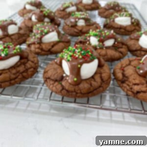 Hot cocoa cookies recipe, a fun and easy dessert using cake mix.