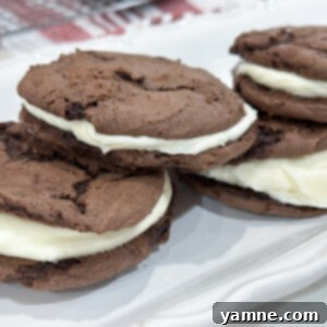 Homemade Oreo cookie sandwiches recipe, a fun and easy dessert from cake mix.
