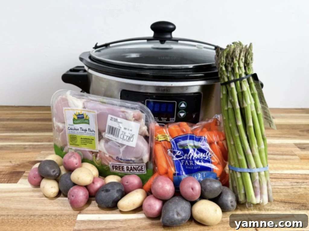 Delicious slow cooker chicken and veggies