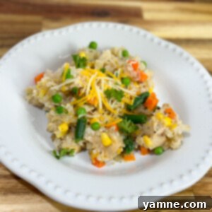 Easy Slow Cooker Chicken, Vegetables, and Rice