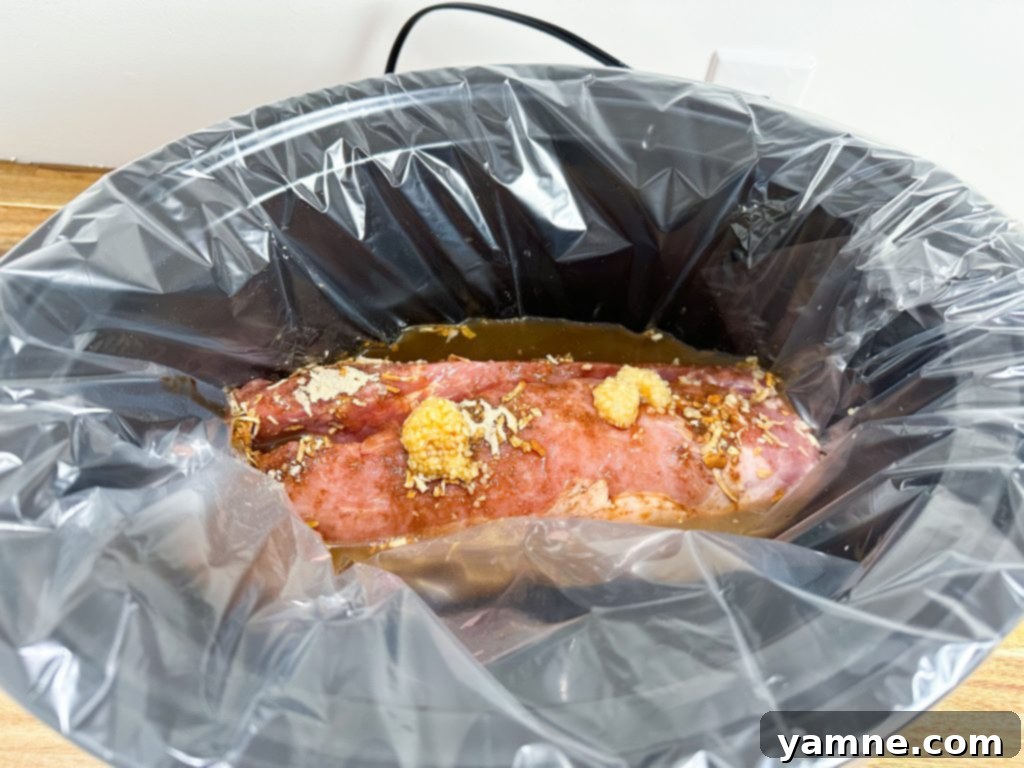 Pork tenderloin with seasoning and broth in slow cooker before cooking