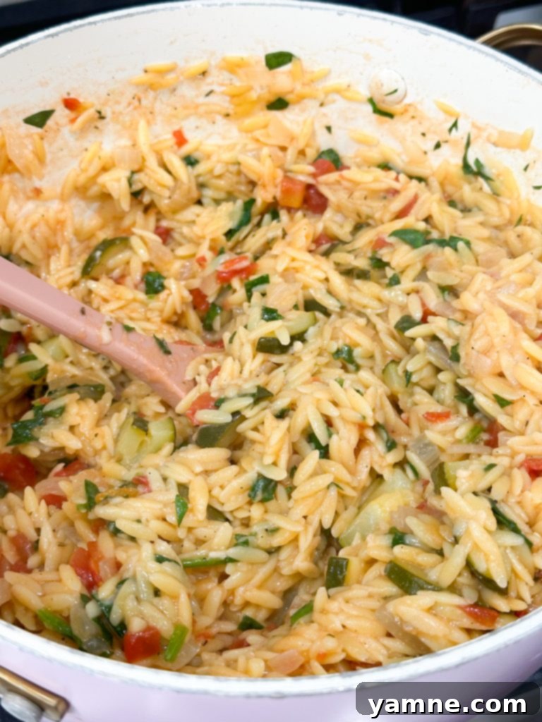One pot orzo with vegetables various pasta