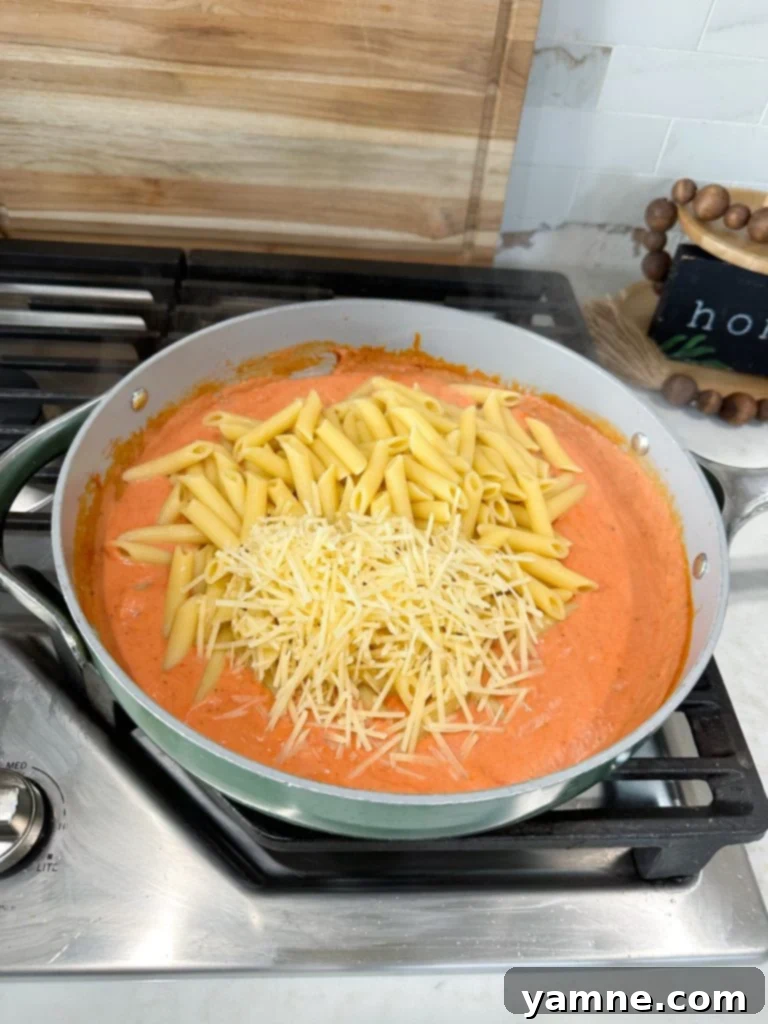 Rich and Creamy Tomato Pasta