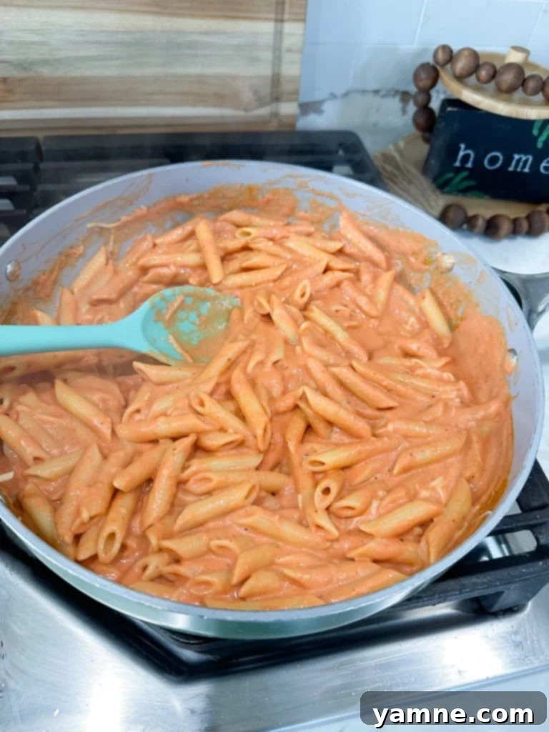 Rich and Creamy Tomato Pasta