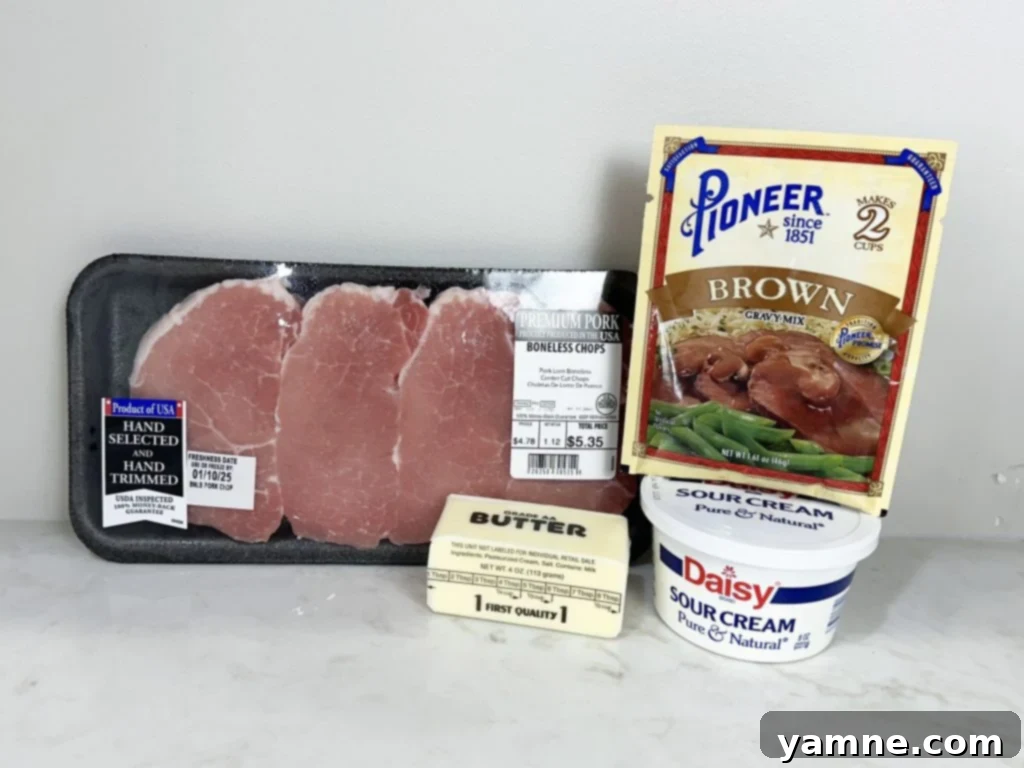 Effortless Pork Chops with Homemade Gravy 2 Easy Pork Chops and Gravy