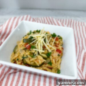 Quick, Easy, Healthy 10-Minute Dinners for Busy Evenings 2 One Pot Orzo with Vegetables, a quick meatless dinner idea