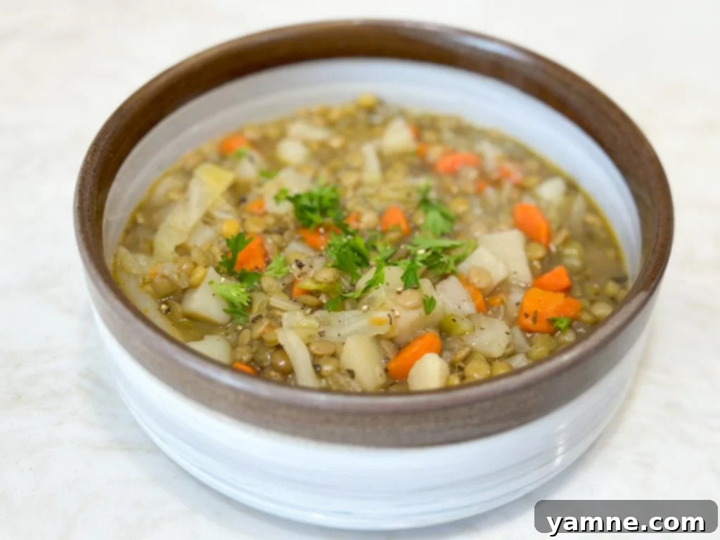 Extreme budget dollar dinners cabbage stew