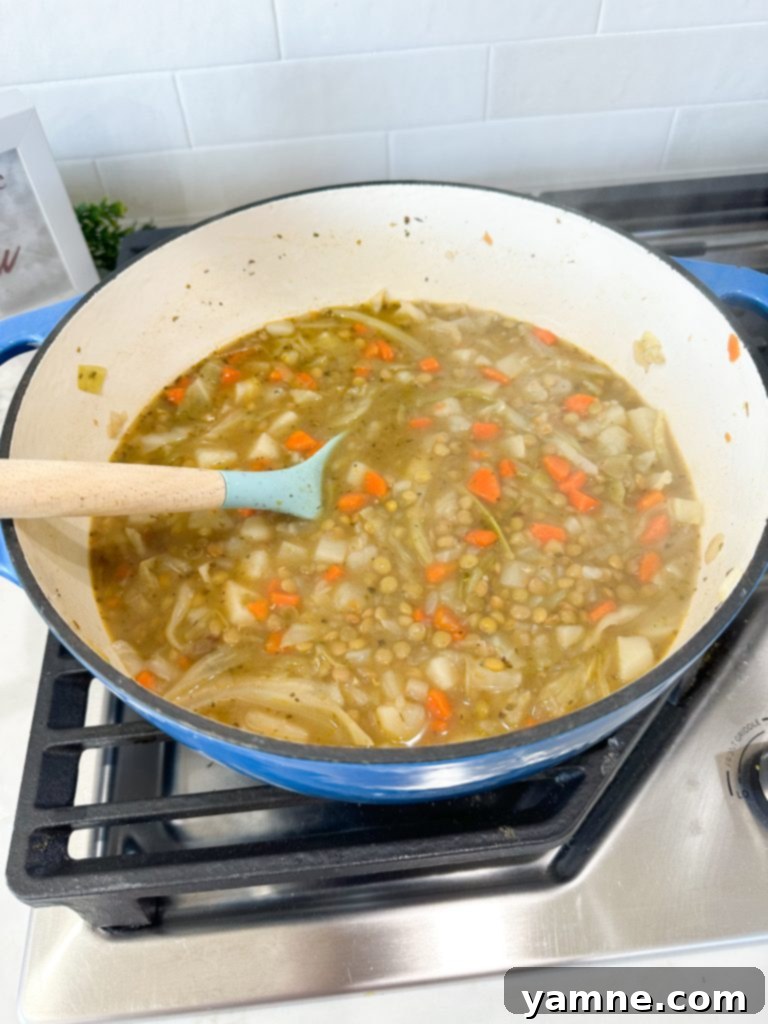 Extreme budget dollar dinners lentil stew recipe