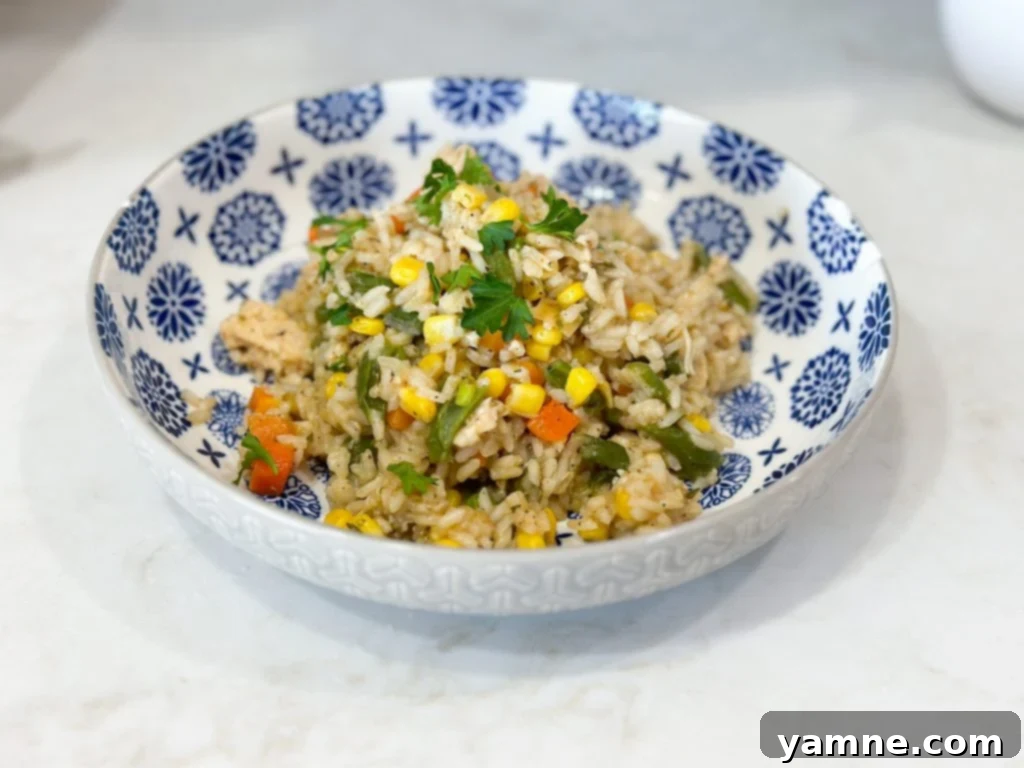 Extreme budget dollar dinners rice and chicken skillet