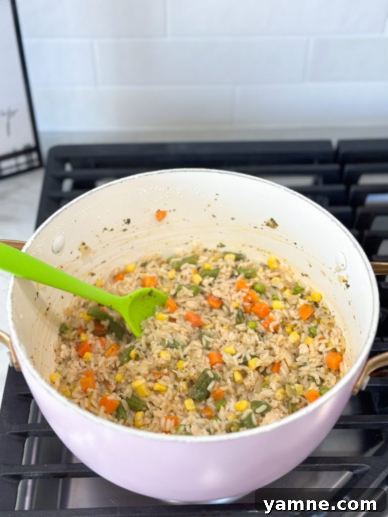 easy extreme budget dollar dinner recipes