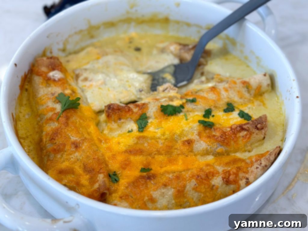 Honey-Glazed Lime Chicken Enchiladas 6 Baked Honey Lime Chicken Enchiladas fresh out of the oven