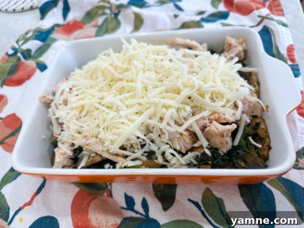 Wholesome Chicken Bake 4 Adding chicken and cheese layers to the healthy casserole