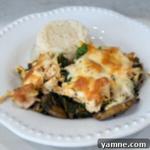 Wholesome Chicken Bake 7 easy healthy chicken casserole