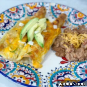 tasty honey lime chicken enchiladas