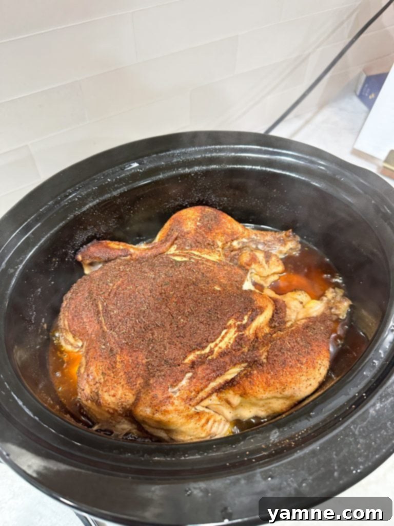 roast a whole chicken in a slow cooker