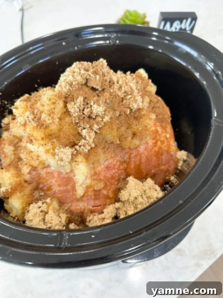 Effortless Holiday Ham: A Slow Cooker Delight 4 easy and juicy slow cooker ham