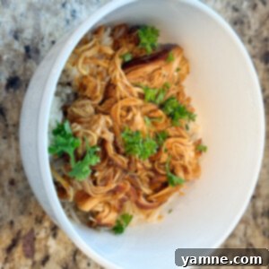 Barbecue Orange Chicken