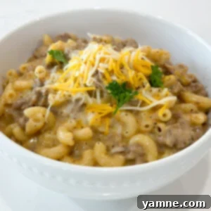Effortless Weeknight Dinners: Top One-Pot Recipes 11 homemade one pot hamburger helper