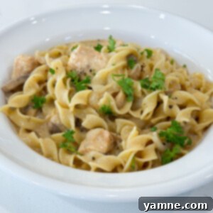 Effortless Weeknight Dinners: Top One-Pot Recipes 8 one pot chicken stroganoff