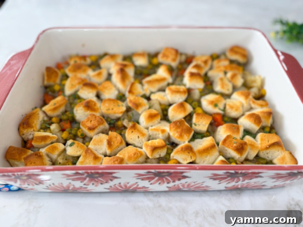 Veggie Pot Pie