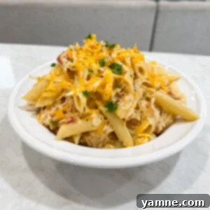 Effortless Slow Cooker Chicken Dinners 7 Slow Cooker Rotel Creamy Chicken Pasta