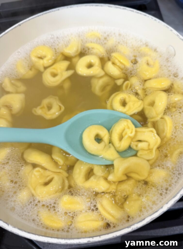 Meatless Monday Skillet Tortellini with Spinach 3 Skillet Tortellini with spinach