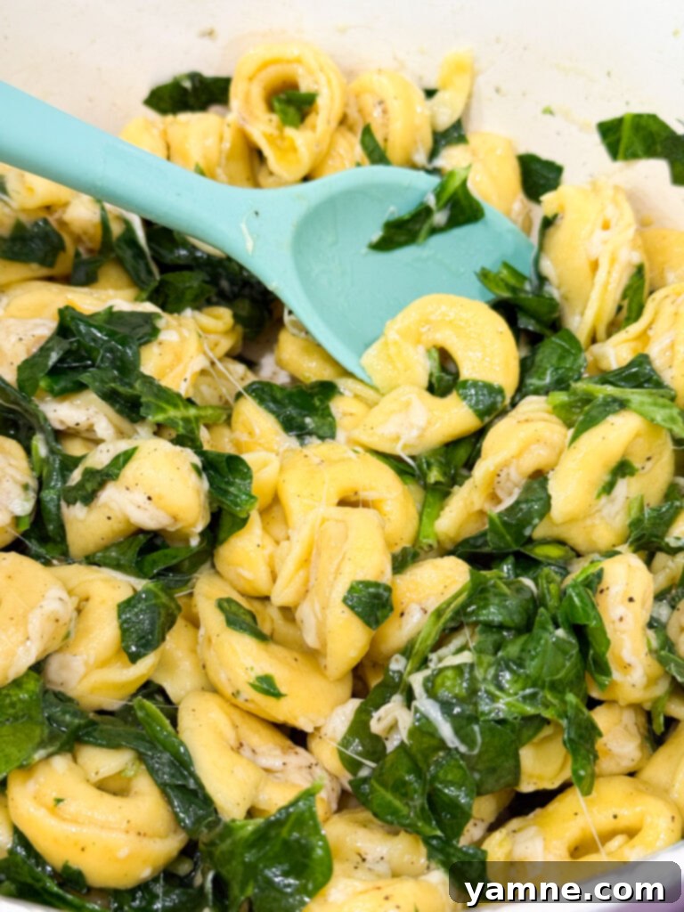 Meatless Monday Skillet Tortellini with Spinach 6 Skillet Tortellini with spinach
