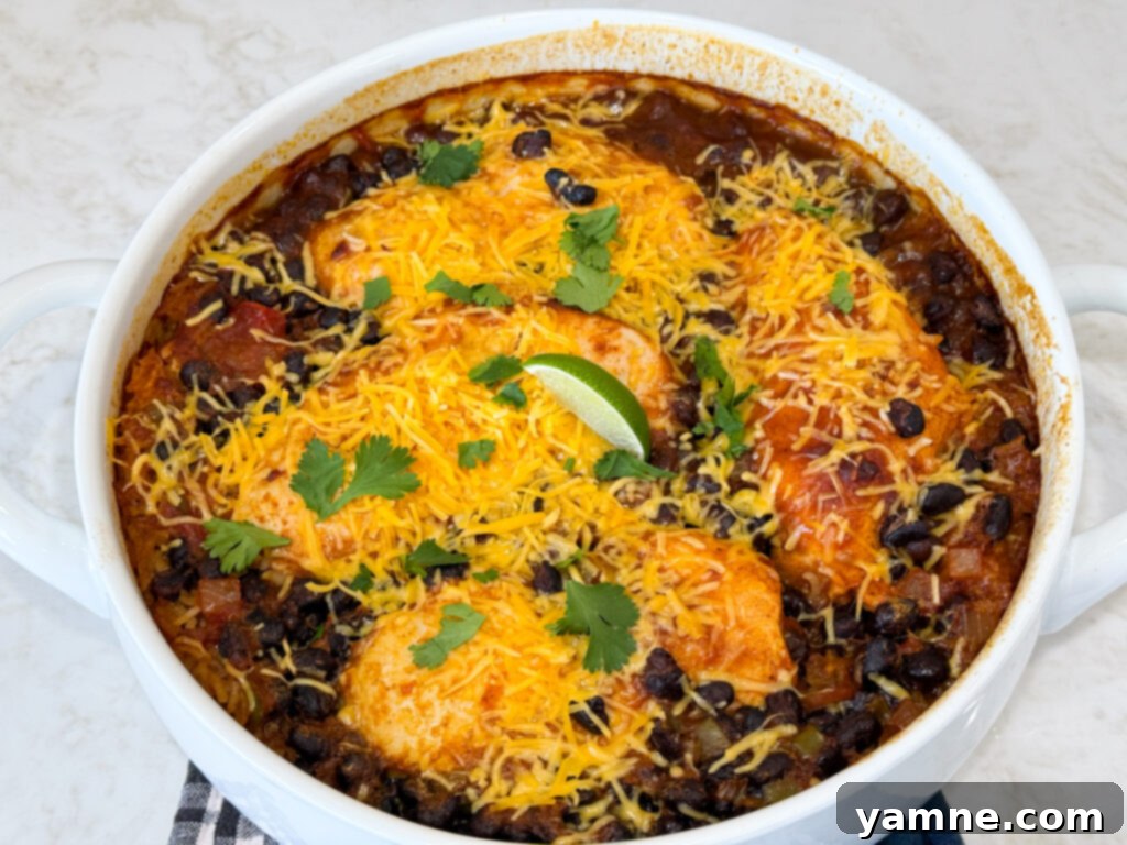 Savory Chicken, Black Bean, and Rice Bake 3 Chicken Black Bean and Rice Casserole close up