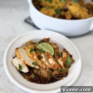 Savory Chicken, Black Bean, and Rice Bake 6 Chicken Black Bean and Rice Casserole served
