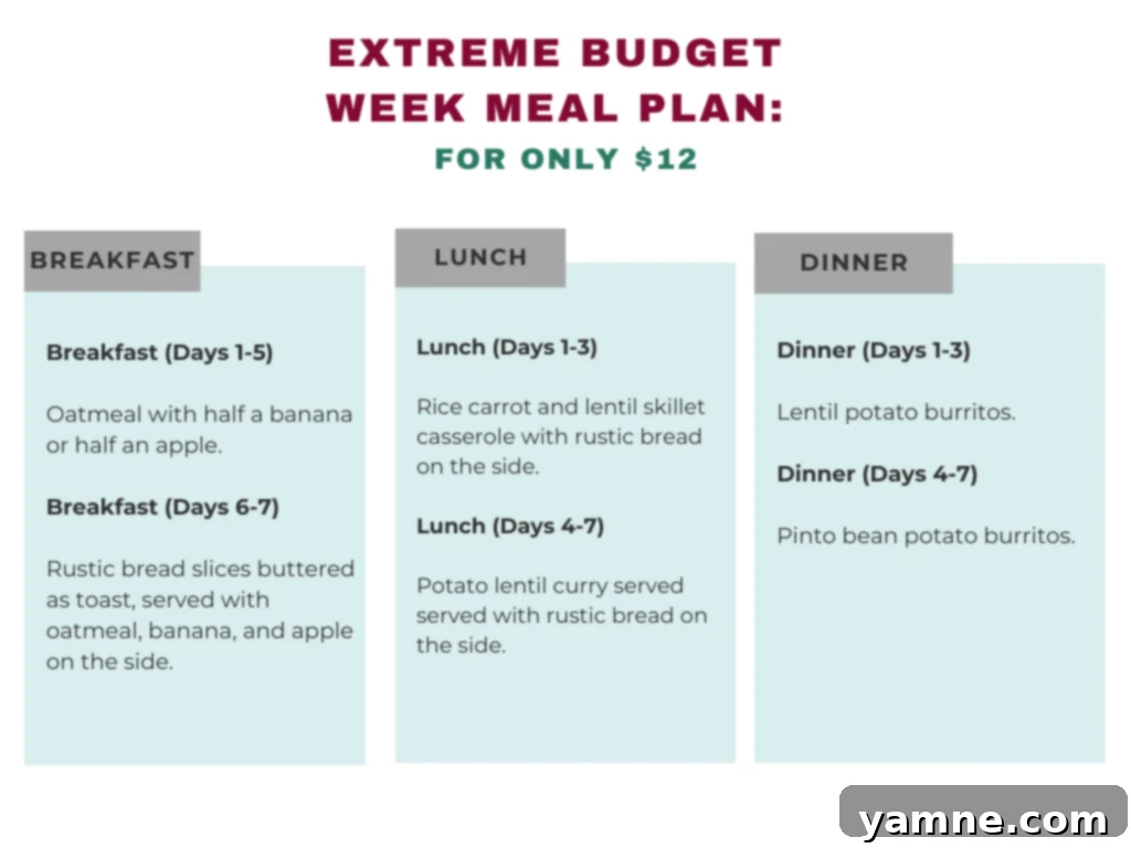 $12 Weekly Grocery Challenge Dirt Cheap Easy Healthy Meals 8 Extreme budget weekly meal plan overview for affordable and healthy eating