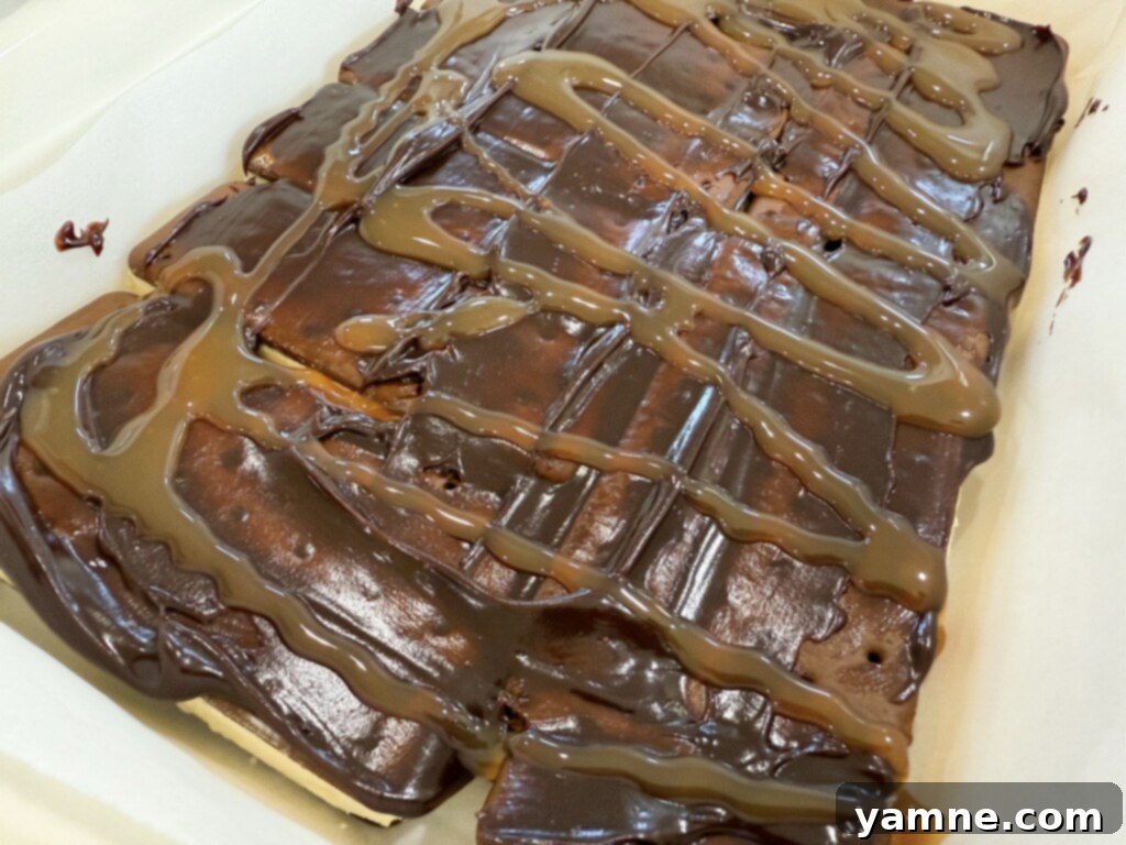 layered ice cream cake with fudge