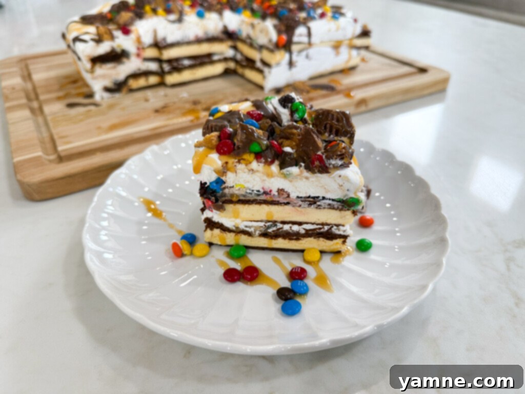 the best candy ice cream cake with various toppings