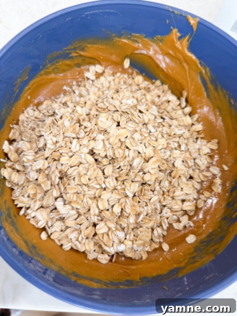 Peanut Butter Oat Bites 4 mix peanut butter bars
