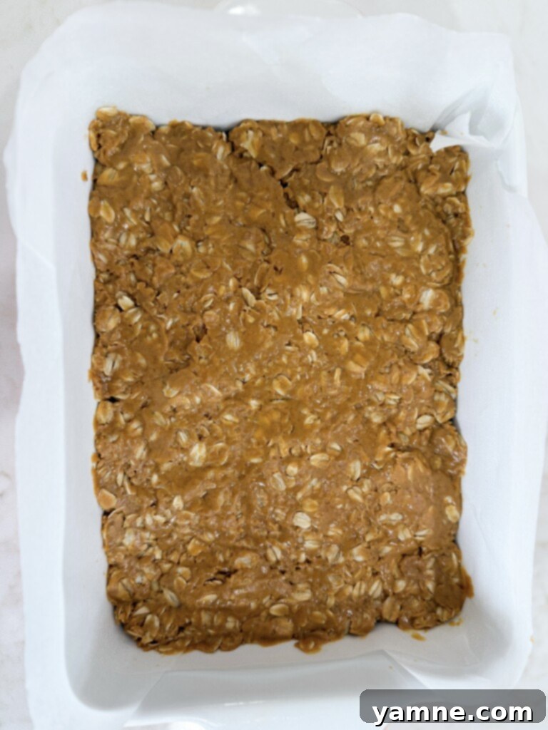 Peanut Butter Oat Bites 5 simple peanut butter bars