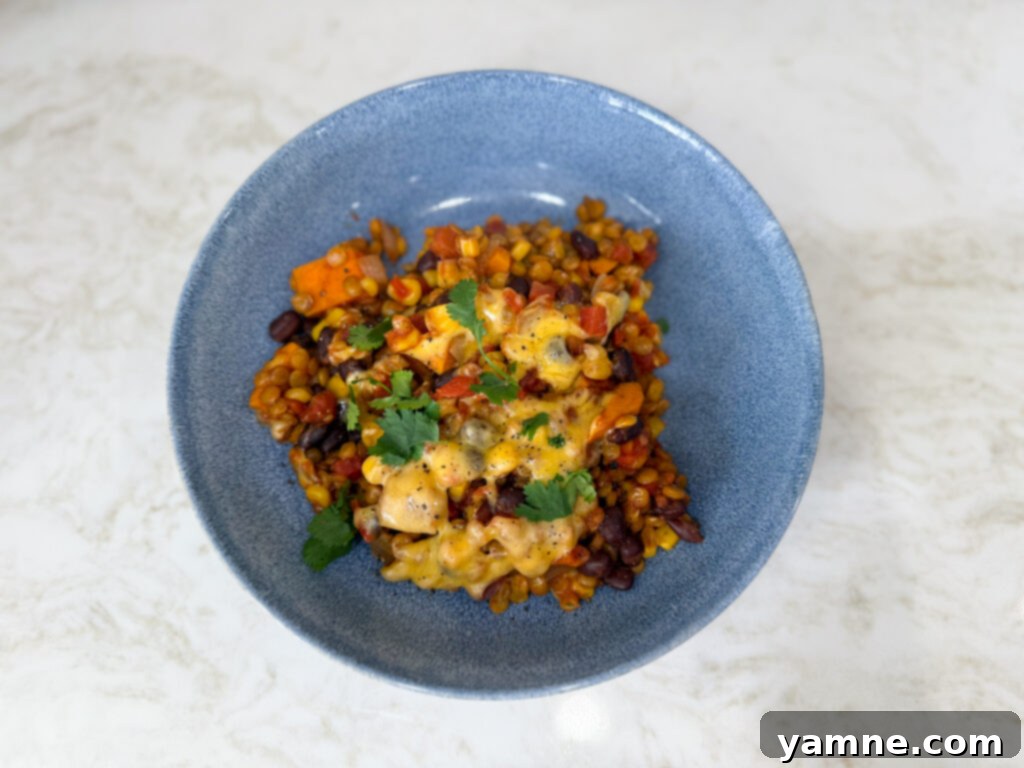 lentil mexican skillet