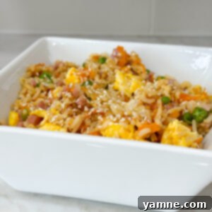 ham fried rice