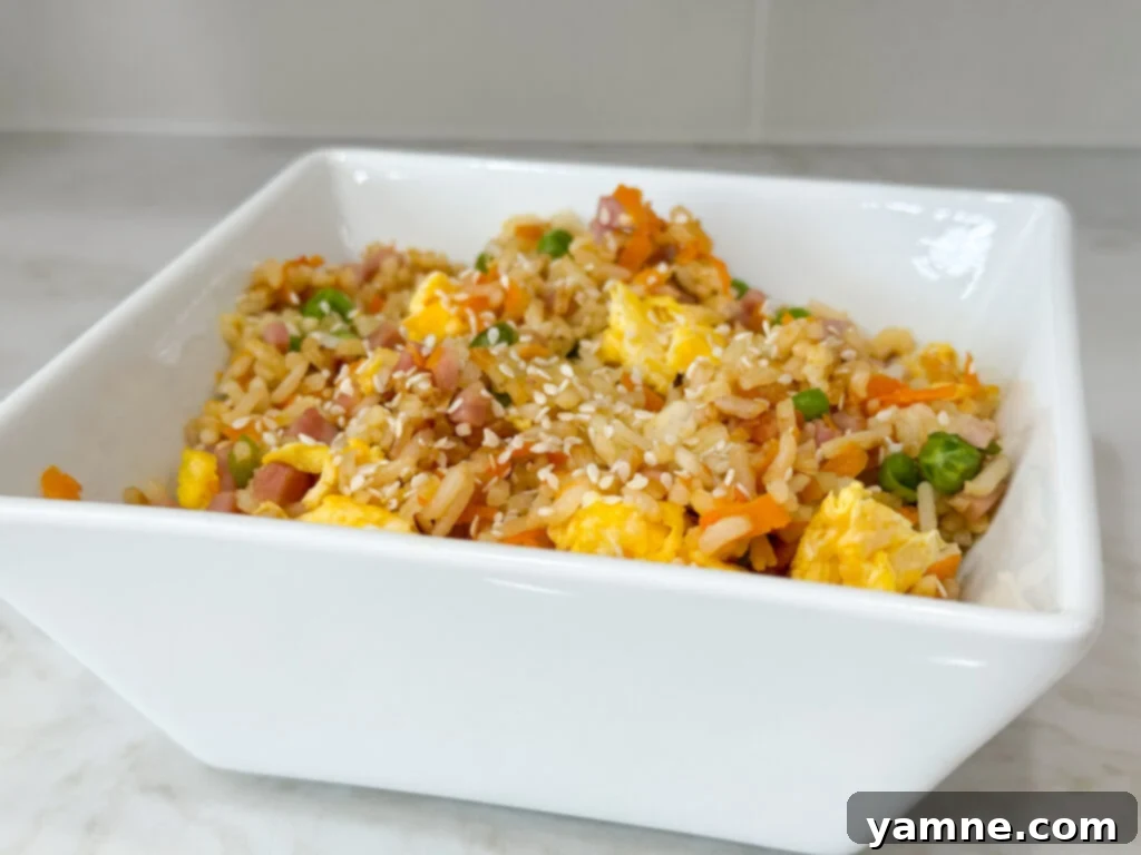 Final plated ham fried rice