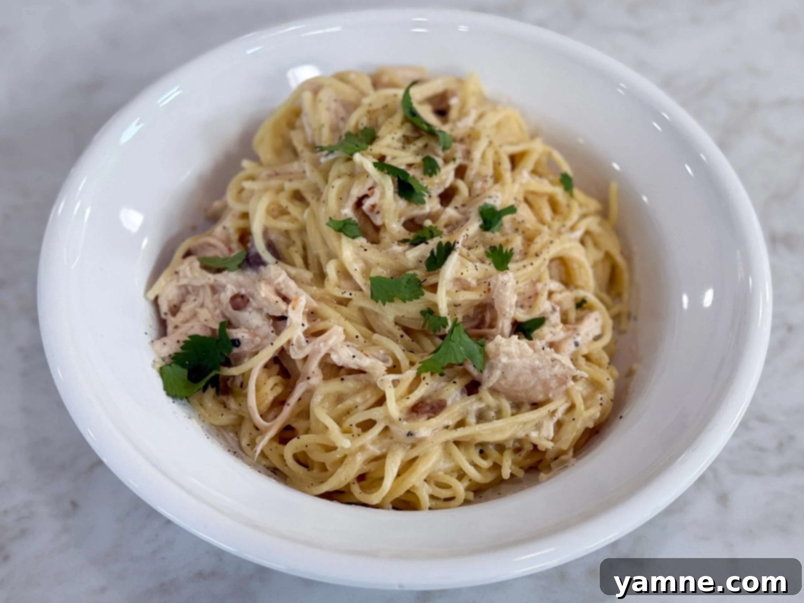 The Best Creamy Chicken Pasta made in a slow cooker