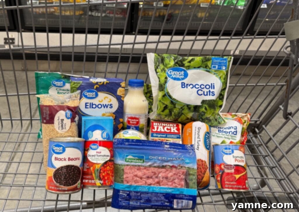 Selection of one-pan skillet meals prepared with a small budget