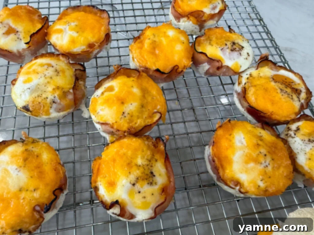 Cooked Ham and Eggs bites on a cooling rack.