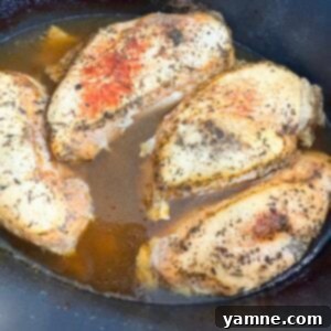 Cooked seasoned chicken in a slow cooker, ready to be shredded