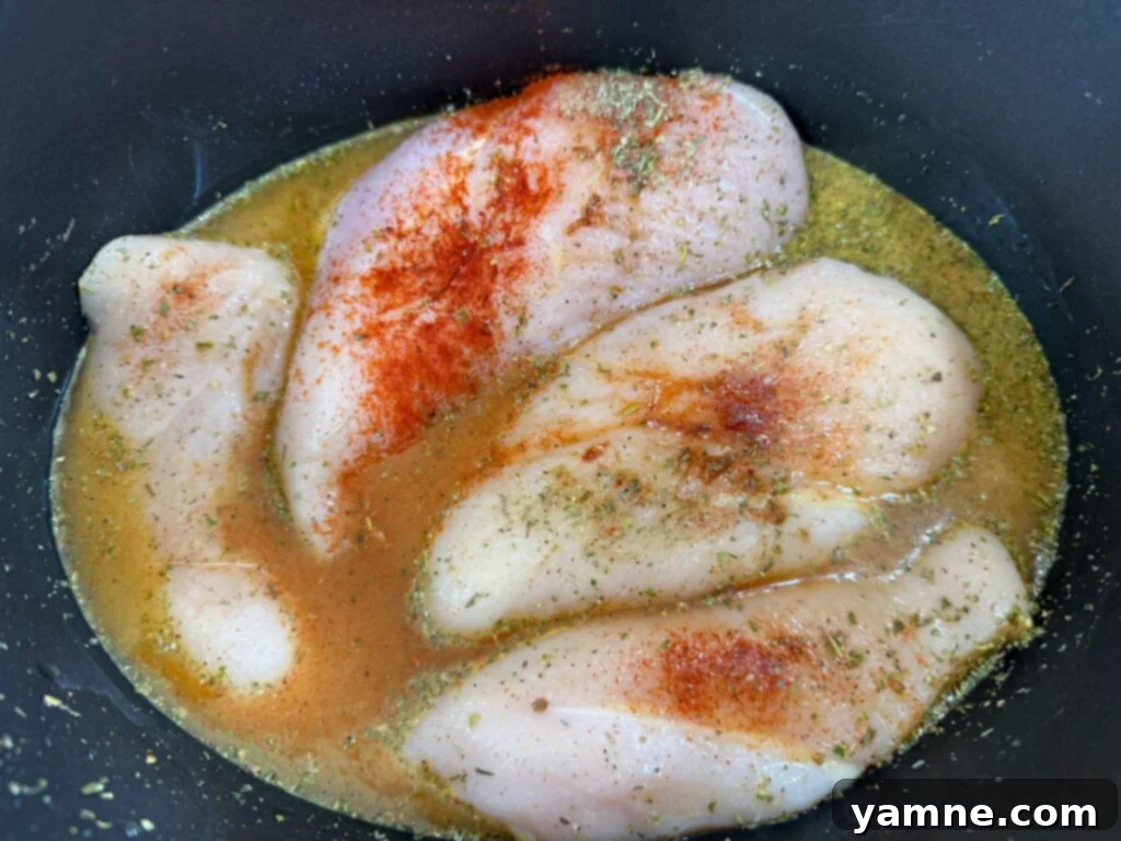 Raw chicken breasts seasoned with spices and chicken broth in the slow cooker before cooking