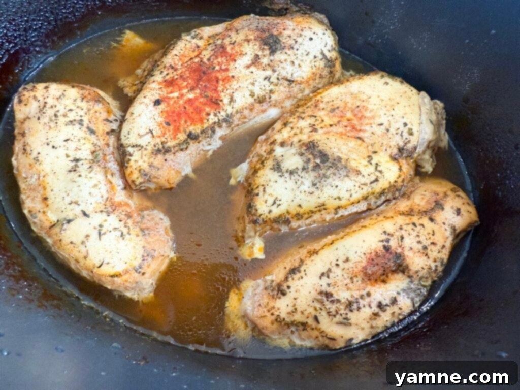 Cooked seasoned chicken in a slow cooker, ready for shredding