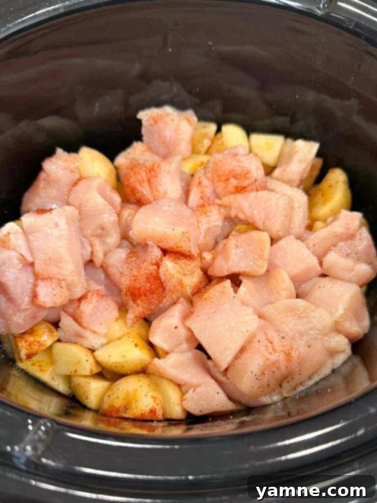 Comforting Slow Cooker Garlic Parmesan Chicken and Potatoes 6 raw chicken and potatoes in slow cooker with seasoning