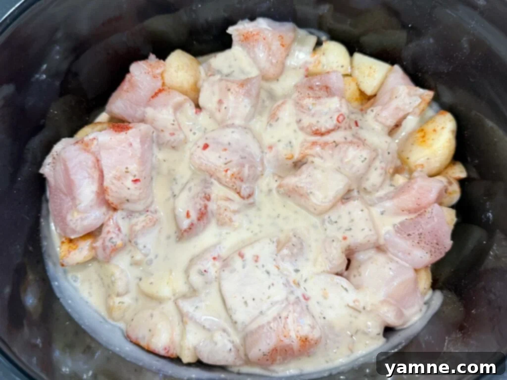 Raw chicken breasts with a generous layer of parmesan garlic mixture on top, nestled in a slow cooker, ready to cook.