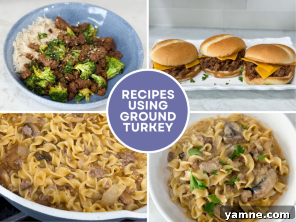 Effortless Ground Turkey Recipes: Quick & Delicious Meals 2 Variety of easy ground turkey recipes