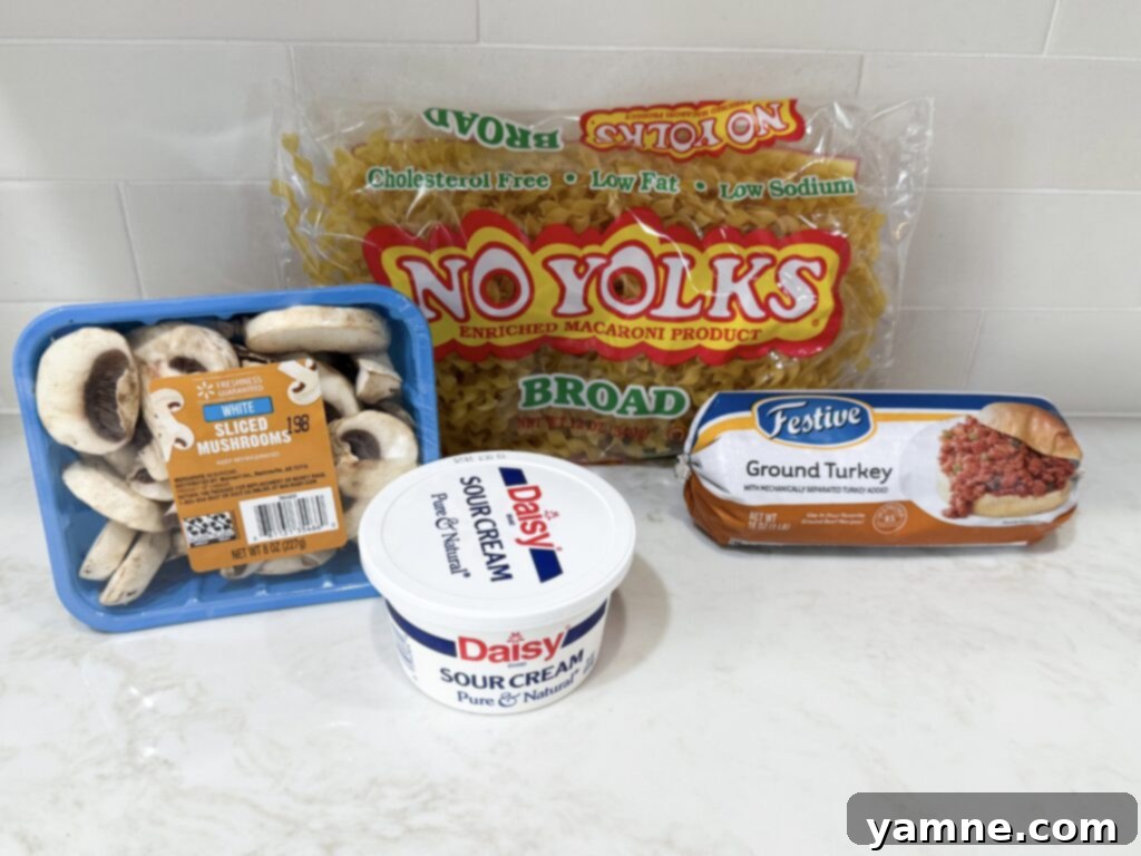 Effortless Ground Turkey Recipes: Quick & Delicious Meals 5 Turkey stroganoff ingredients with egg noodles, fresh mushrooms in a package, sour cream, and ground turkey all on a white counter